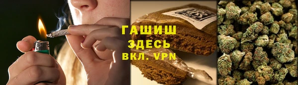 сатива Гусев