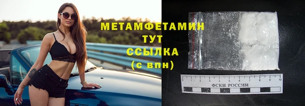 сатива Гусев