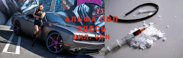 сатива Гусев
