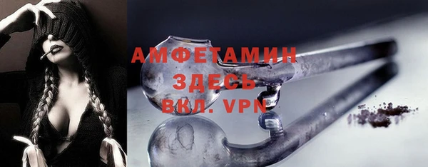 сатива Гусев