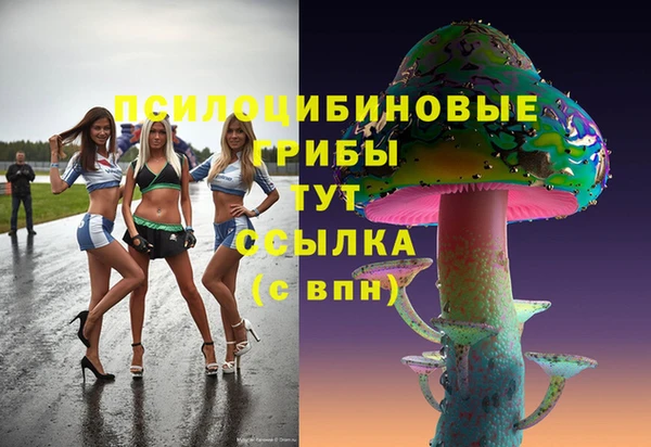 2c-b Гусь-Хрустальный