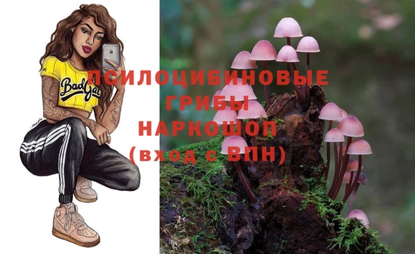 сатива Гусев