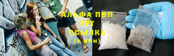 сатива Гусев